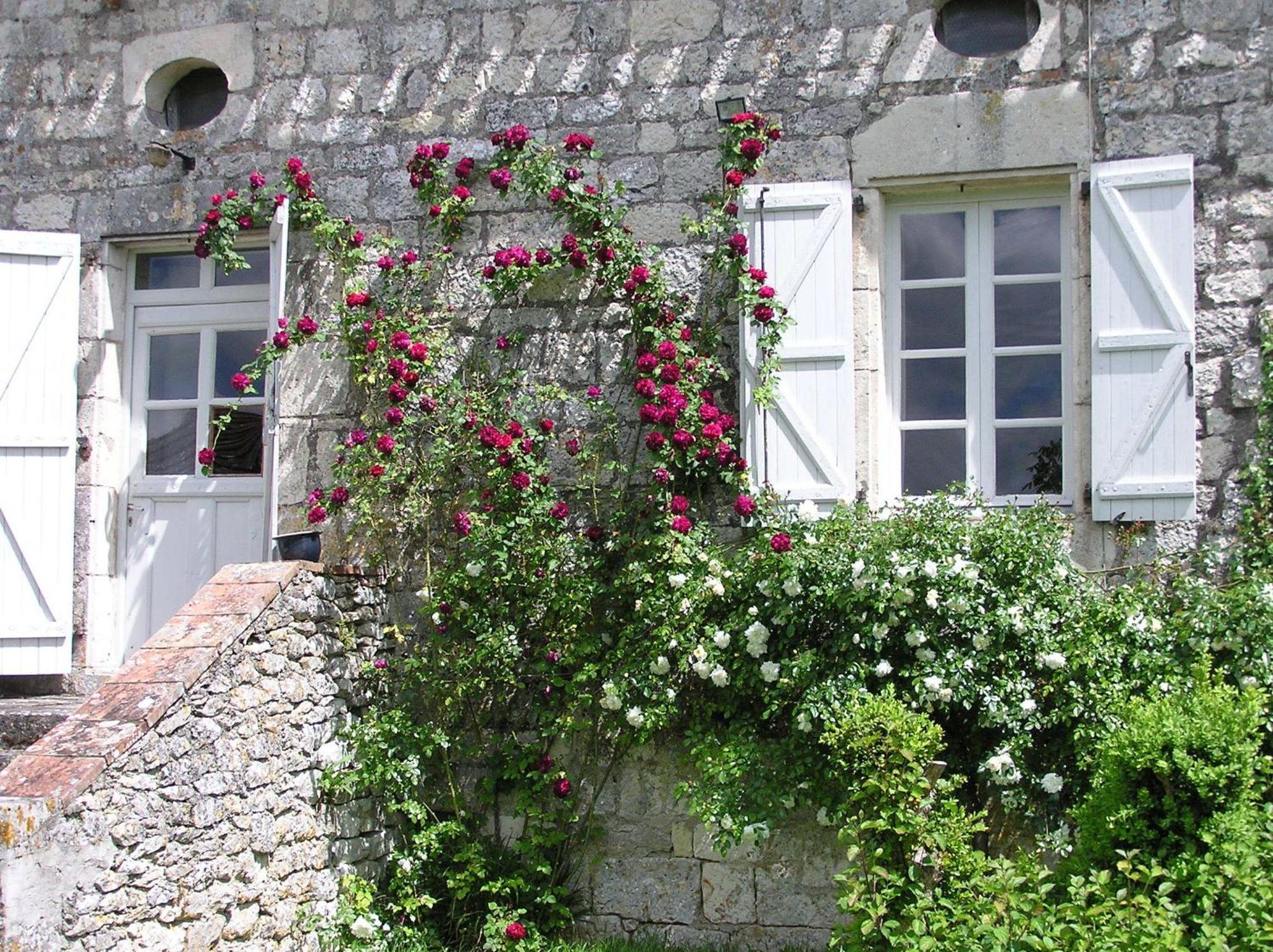 Domaine De L'Isle Basse Bed & Breakfast Fontanes  Ruang foto